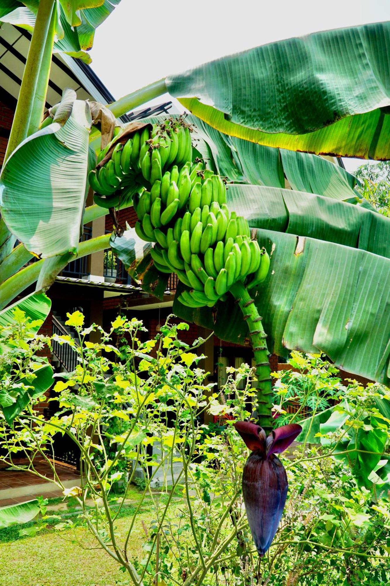 Hotel Millet'S Food Company And Cooking Center Negombo Esterno foto