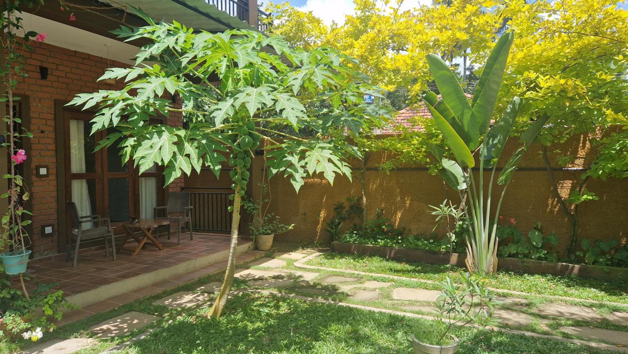 Hotel Millet'S Food Company And Cooking Center Negombo Esterno foto